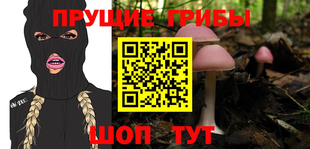 Галлюциногенные грибы Magic Shrooms  Псилоцибиновые грибы прущие грибы  Вход с VPN  Камышин 